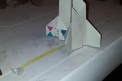 61409053_2233799980002280_6647091829118337024_n