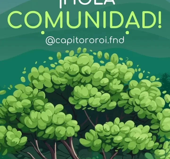 Agradecimiento Especial a la Fundación CapiTororoi